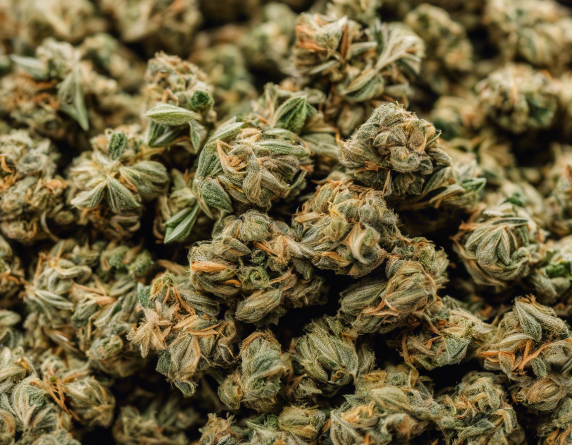 Guide to Buying an Ounce of Weed: What You Need to Know